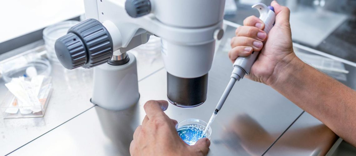 Tout savoir sur le don d’ovocytes en France Tout savoir sur le don d'ovocytes en France