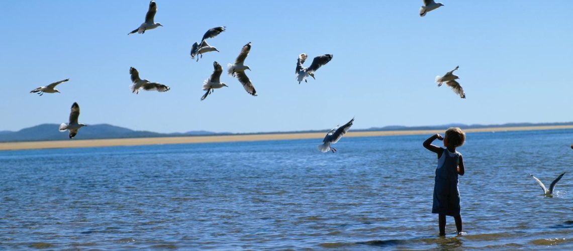 Pourquoi certaines personnes ont-elles peur des oiseaux ? Pourquoi certaines personnes ont-elles peur des oiseaux ?