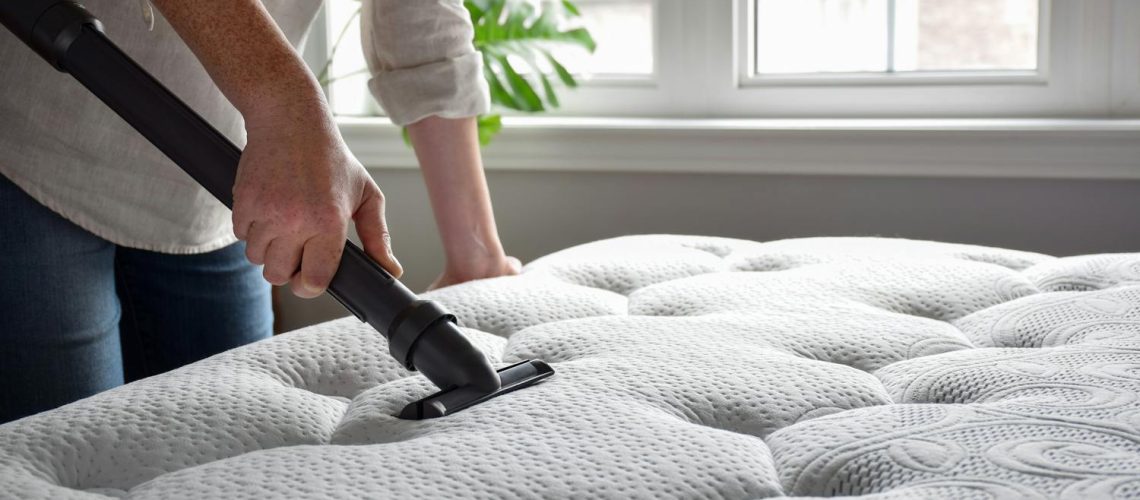 Peut-on voir les acariens à l’œil nu ? Peut-on voir les acariens à l'œil nu ?